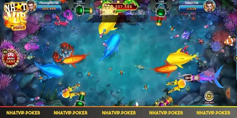 Thỏa sức chọn vũ khí để săn cá thành công