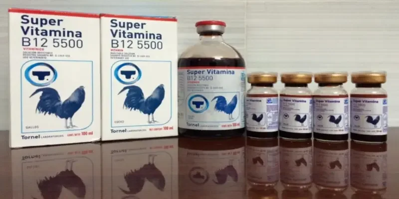 Các loại thuốc chứa vitamin, khoáng chất thiết yếu như vitamin A, D, E, B12